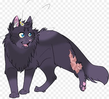 Black cat Warriors Whiskers Erin Hunter - cat 