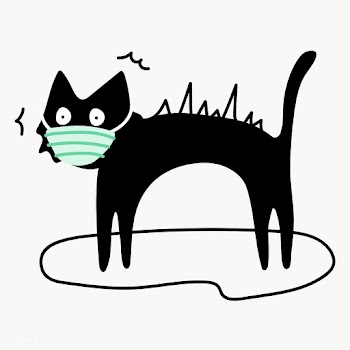 Black cat wearing a surgical mask transparent png | Free  transparent png - 2300436