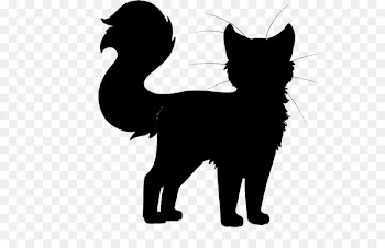 Black cat Whiskers Domestic short-haired cat Dog -  