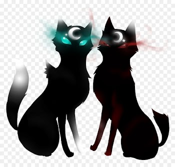 Black cat Whiskers Render Drawing - cat 