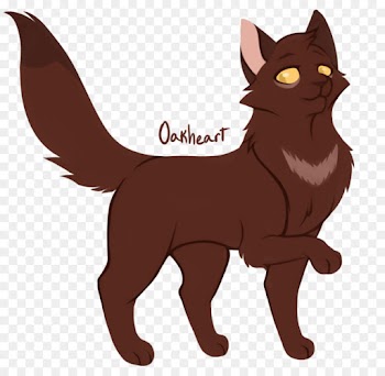 Black Cat, Whiskers, Warriors, Cat, Mammal PNG