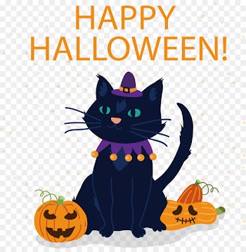 Black cat Witch Hazel Kitten Halloween - Witch cat 