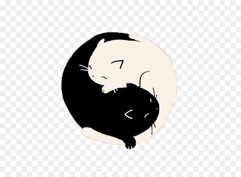 Black cat Yin and yang T-shirt - Hand-painted black and white cat 