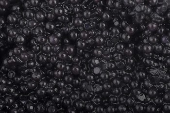 black caviar