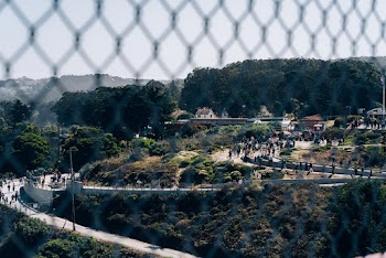 Black Chain-link Fence