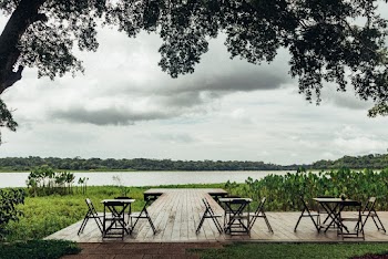 Black Chair and Tables Near Trees