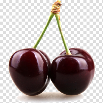 Black Cherry Clipart