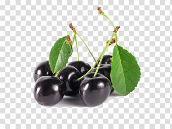 Black Cherry Image