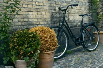 Black Commuters Bike Near to Plant Pots