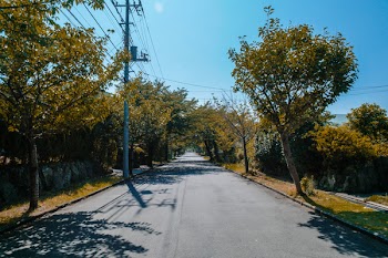 Black Concrete Road Between Green Trees Under Blue Sky