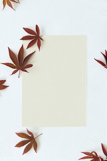 Black craft paper card with maple leaves | Free stock psd mockup - 1204153