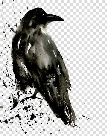 Black crow painting, Common raven Watercolor painting Tattoo The Shining Isle, crow transparent background PNG clipart