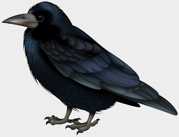 Black Crow Transparent Image | Gallery Yopriceville - High ...
