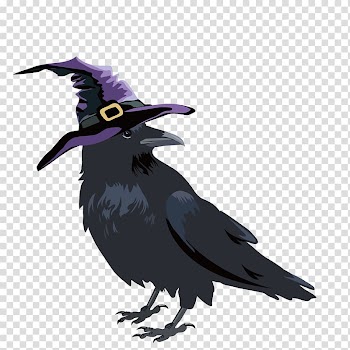 Black crown wearing purple hat illustration, Crows Halloween , Halloween crows transparent background PNG clipart