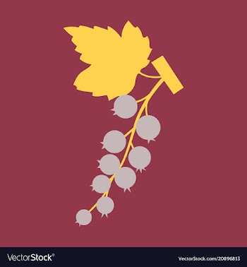 Black currant colorful isolated on light vector image