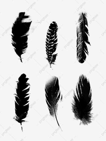 Black Dark Feathers Do Not Overlap Can Be Used For Commercial ...