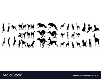 black dog
