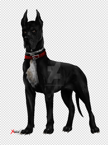 black-dog-animal-transparent-png-image-pngriver-free-httpsimg00 ...