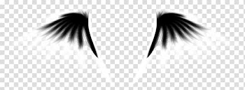 Black Eye White, Black and white wings transparent background PNG clipart