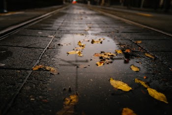 Black Floor Tiles