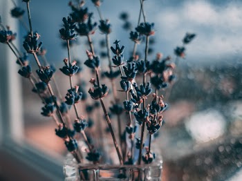 Black Flower Decopr