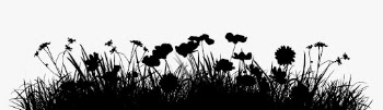 Black flower silhouette border, floral | Free Photo - rawpixel