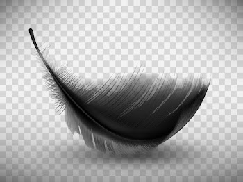 Black fluffy feather with shadow realistic Free Vector