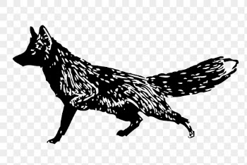 Black fox png, vintage wild | Free PNG Illustration - rawpixel