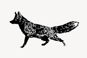 Black fox, vintage animal illustration | Free Vector Illustration - rawpixel