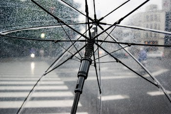 Black Frame Umbrella