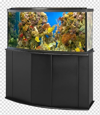 Black framed fish tank, Aquarium Goldfish Ornamental fish, Aquarium Fish Tank transparent background PNG clipart