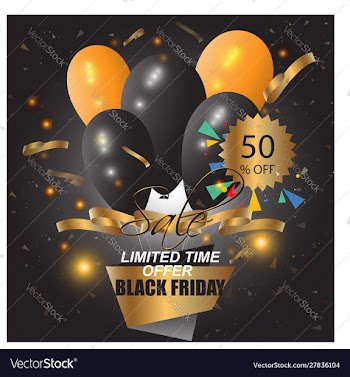 Black friday vector image