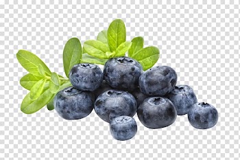 Black fruit, Juice Blueberry Flavor Tart, Blueberries transparent background PNG clipart