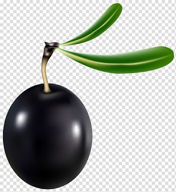 Black fruit , United States Teth , Black Olive transparent background PNG clipart