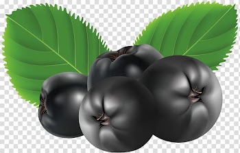 Black fruits illustration, Blueberry , Blueberry transparent background PNG clipart
