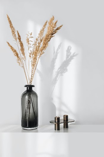 Black Glass Bottle Beside Brown Plant · Free Stock Photo