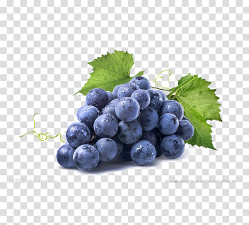 Black Grapes Free PNG Image