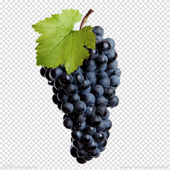 Black Grapes Transparent Image