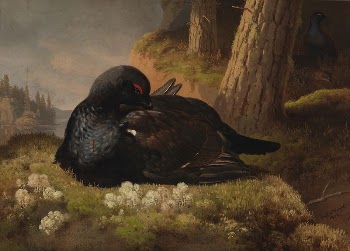 Black grouse, 1864, by Ferdinand | Free Photo - rawpixel
