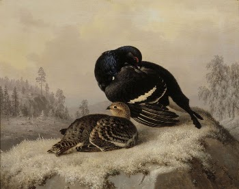 Black grouse, cock and hen, | Free Photo - rawpixel