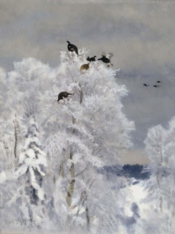 Black grouse in a treetop, | Free Photo - rawpixel