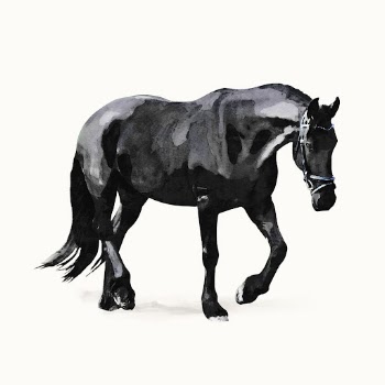 Black horse illustration, animal watercolor | Free Photo Illustration - rawpixel
