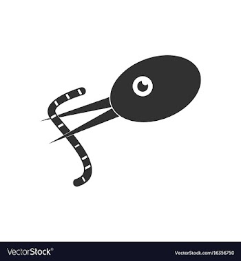 Black icon on white background bird and worm vector image