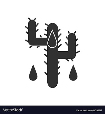 Black icon on white background cactus and droplets vector image