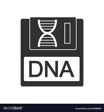 Black icon on white background dna disk vector image