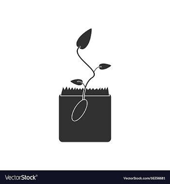 Black icon on white background flower buds vector image