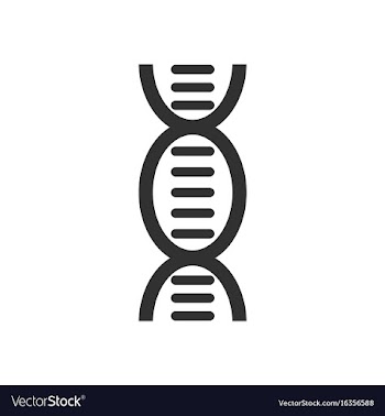 Black icon on white background human dna vector image