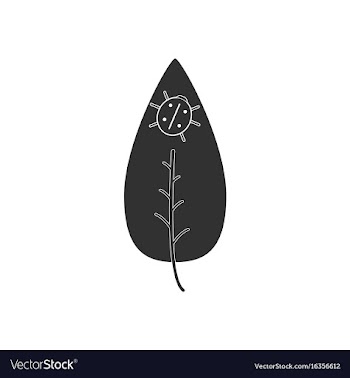 Black icon on white background leaf and ladybug vector image
