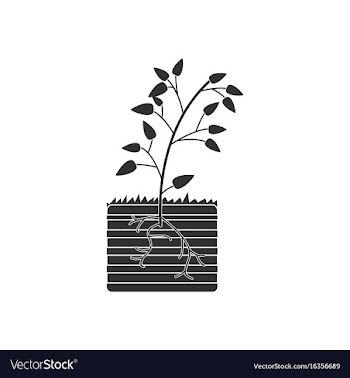 Black icon on white background plant and root vector image