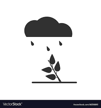 Black icon on white background rain and bush vector image